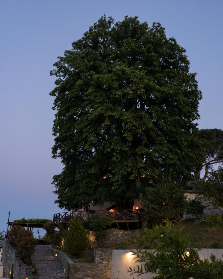 Mourésion Tilia Resort מראה חיצוני תמונה